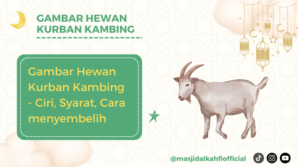 Gambar Hewan Kurban Kambing