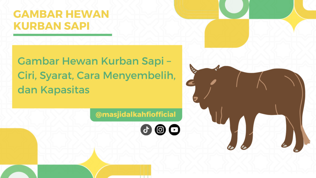 Gambar Hewan Kurban Sapi