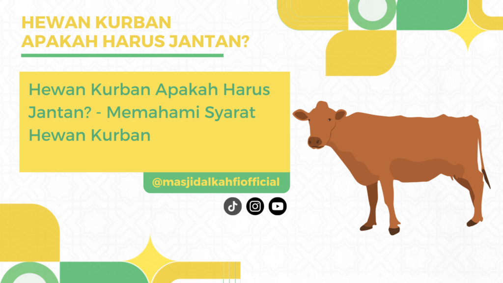 Hewan Kurban Apakah Harus Jantan