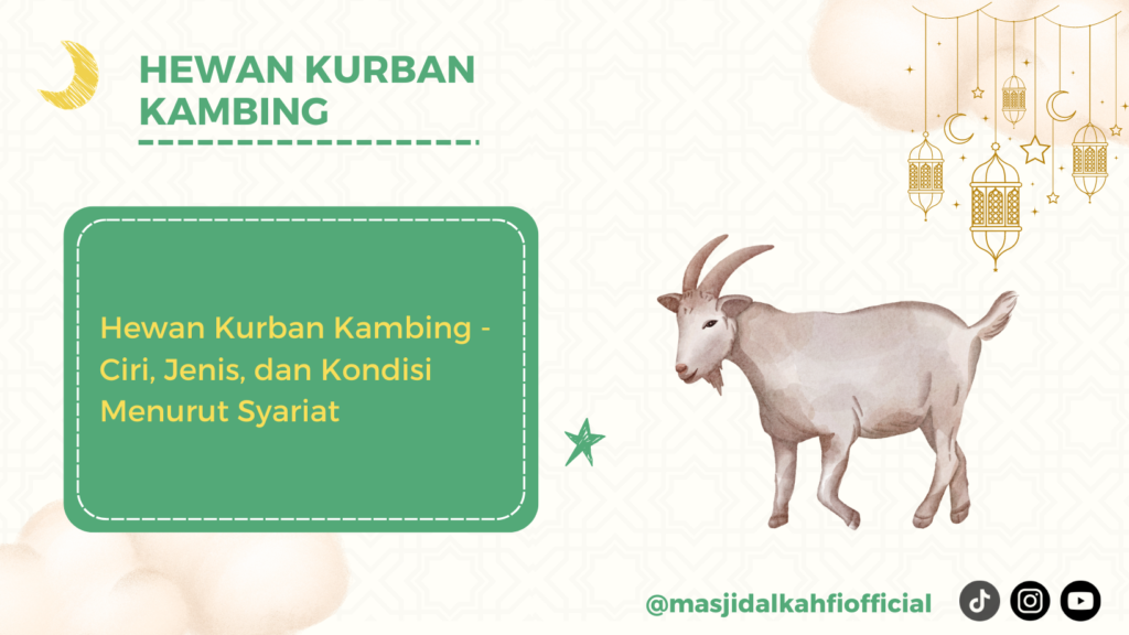 Hewan Kurban Kambing