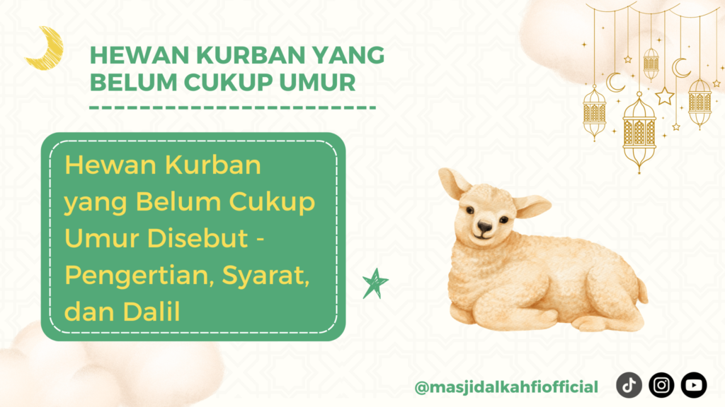 Hewan Kurban Yang Belum Cukup Umur